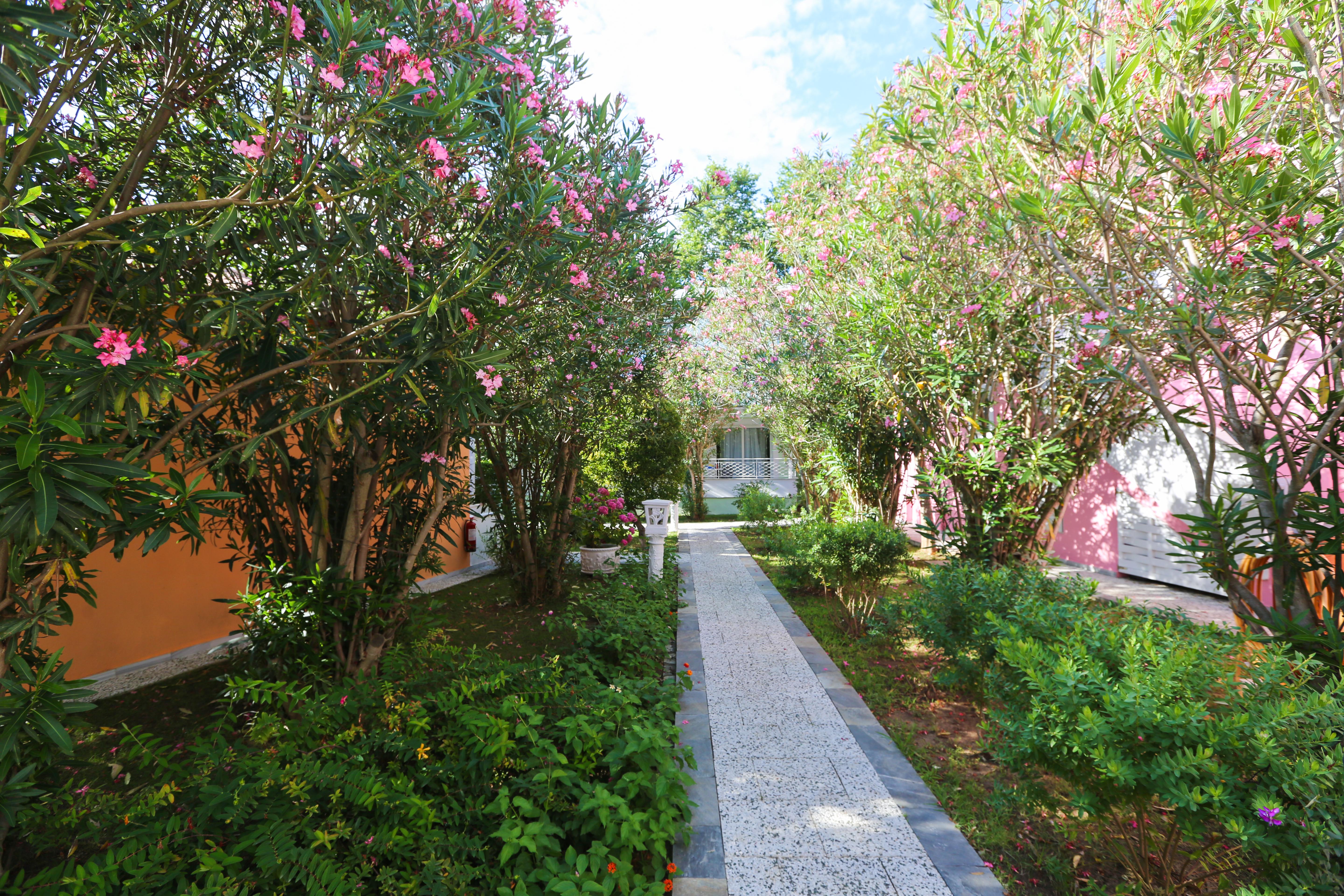 Mandraki Village Boutique Hotel 쿠쿠나리에스 외부 사진